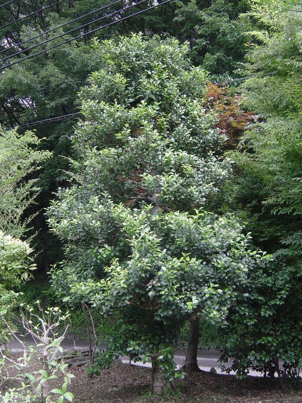 ���V����