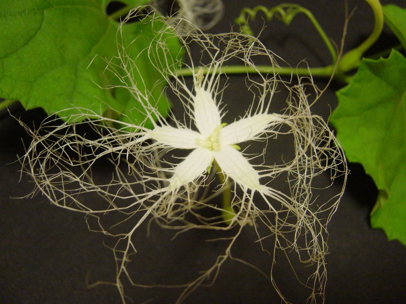 ���V����