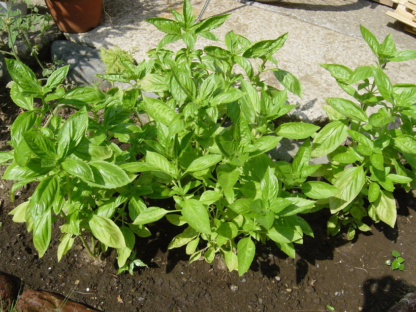 ���V����