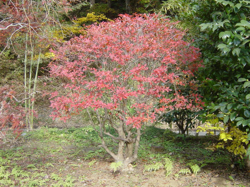 ���V����