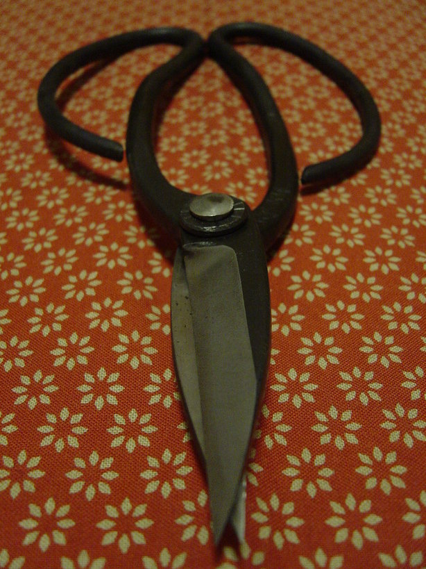 ���V����