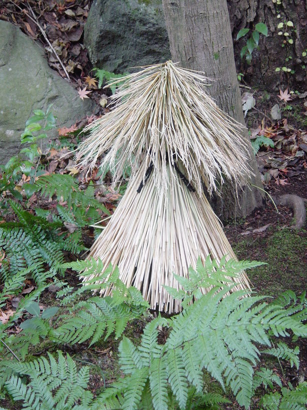 ���V����