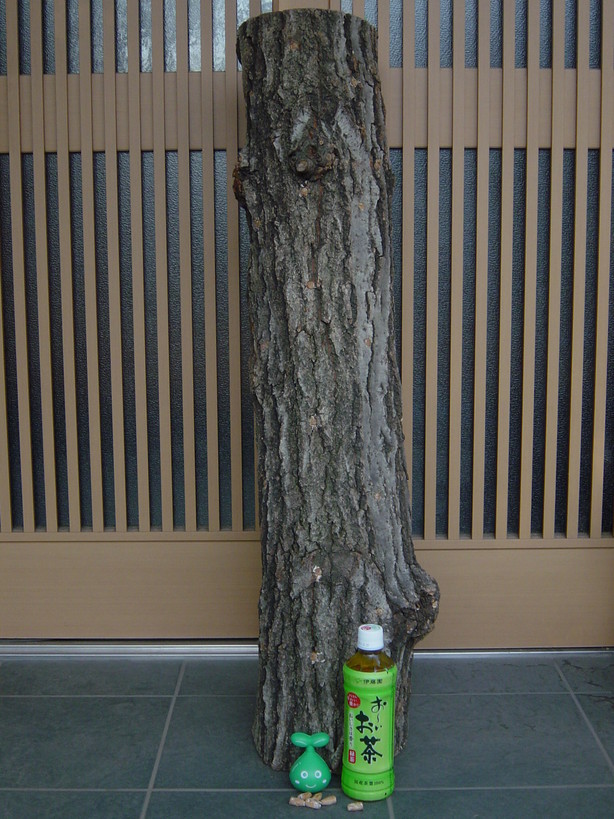 ���V����