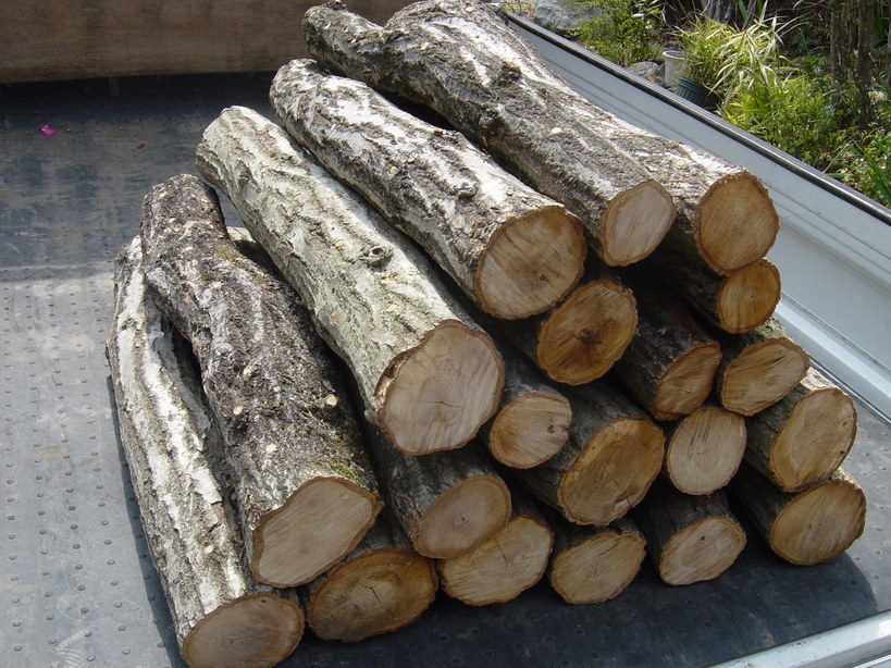 ���V����