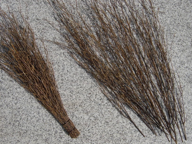 ���V����