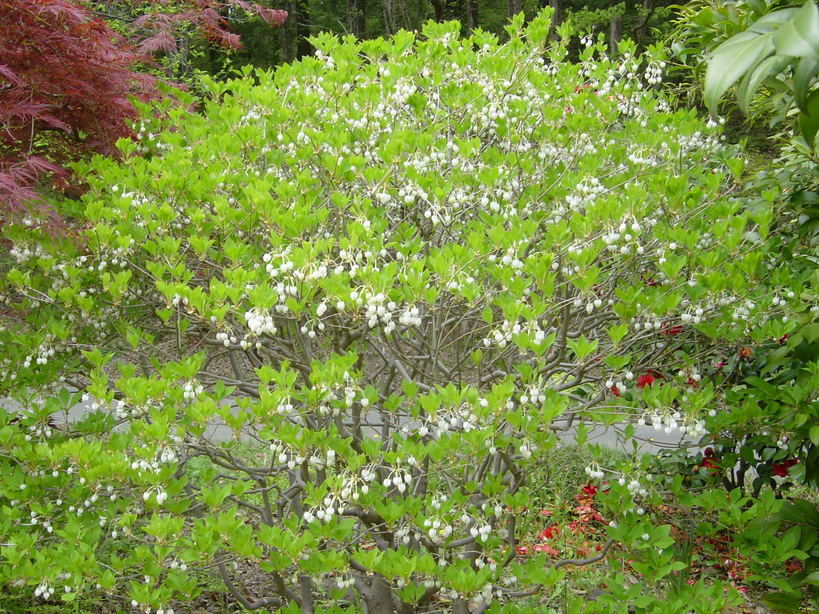 ���V����