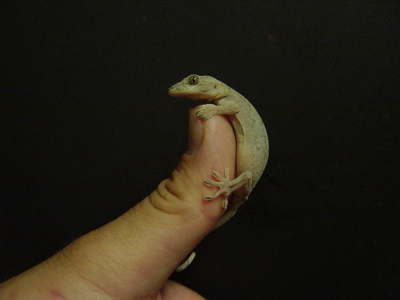 ���V����