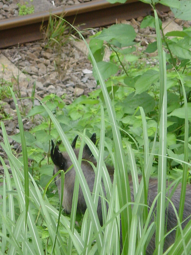 ���V����