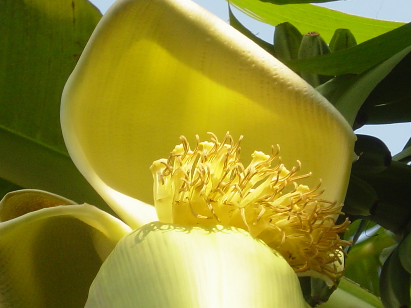 ���V����