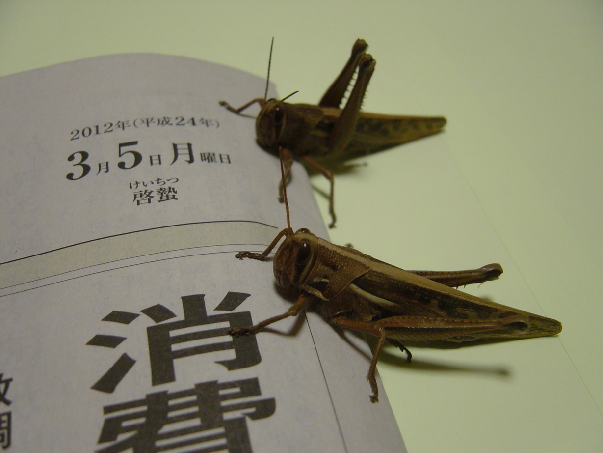 ���V����