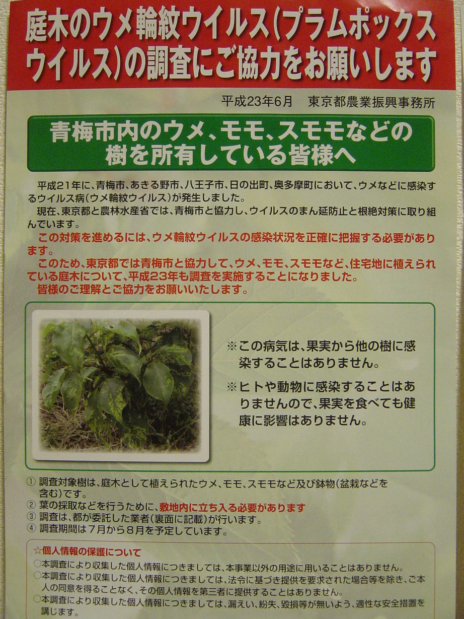 ���V����