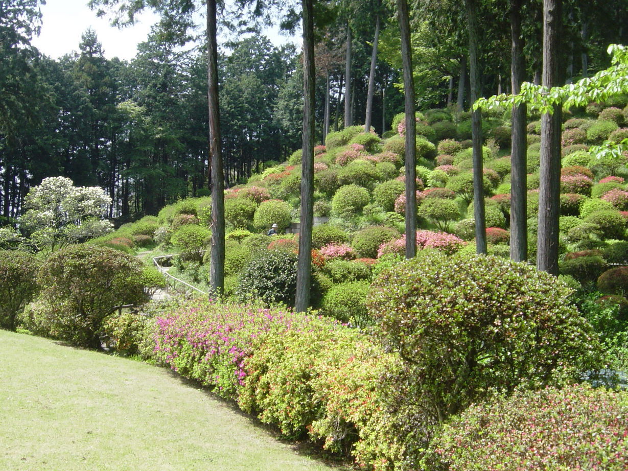 ���V����