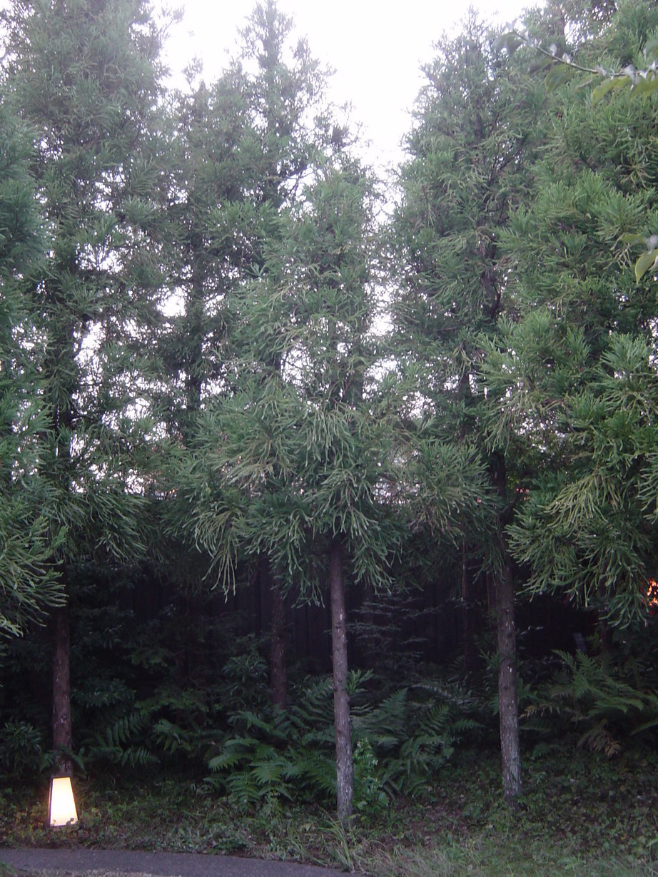 ���V����