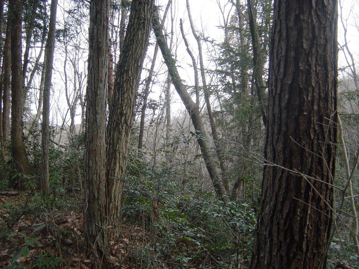 ���V����