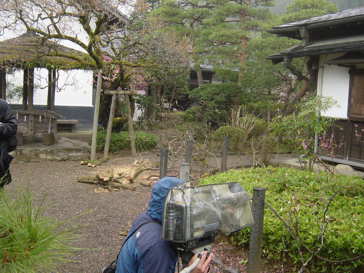 ���V����