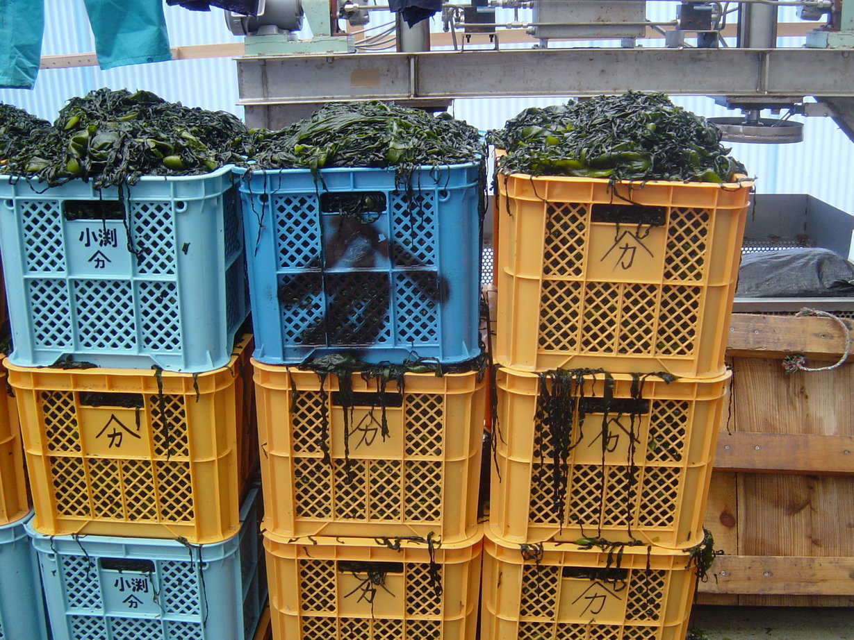 ���V����