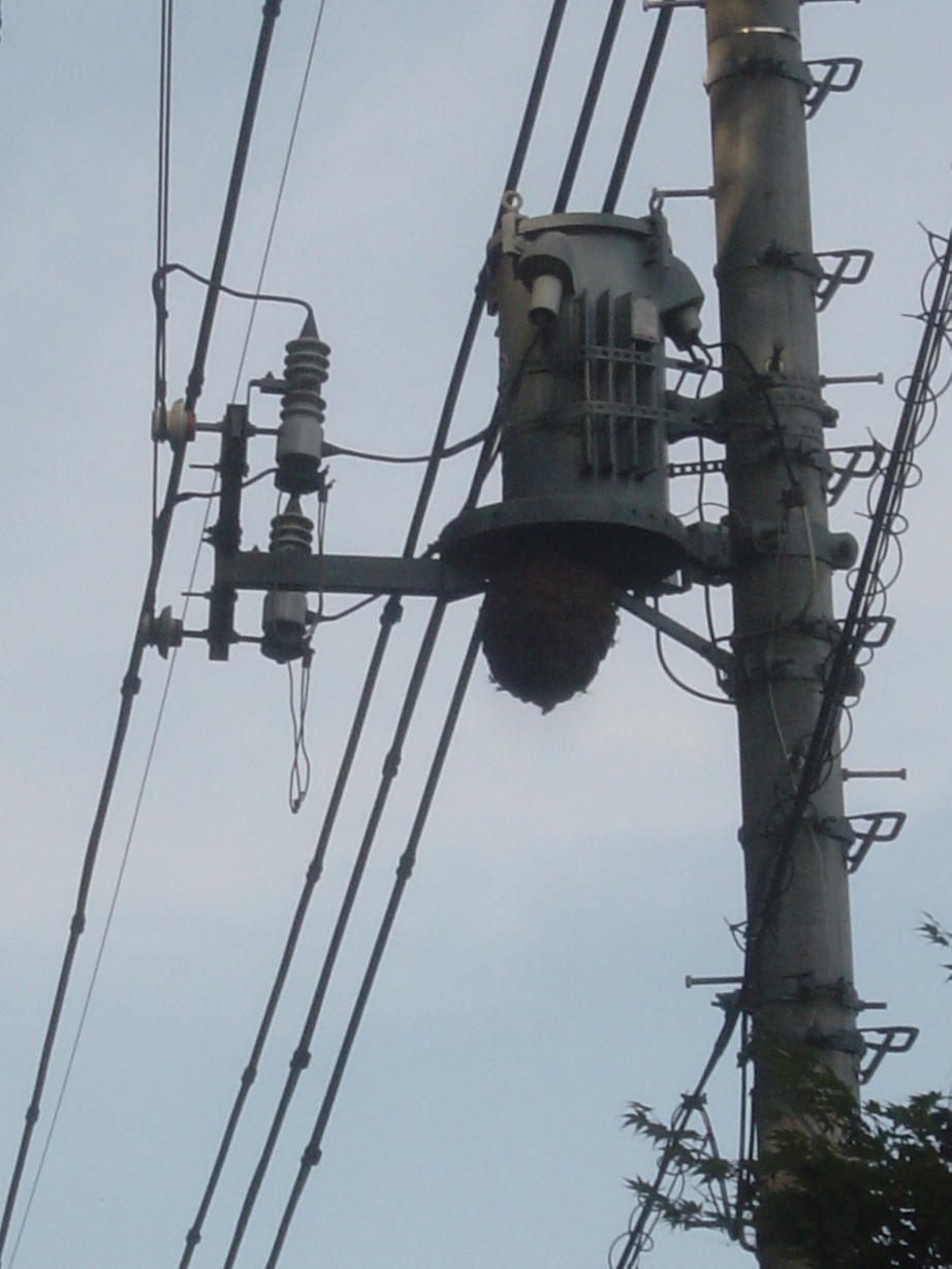 ���V����