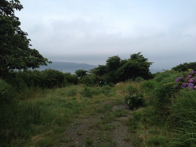 ���V����