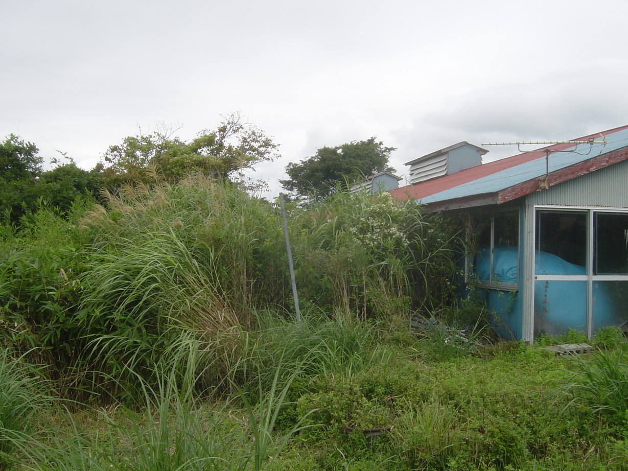 ���V����