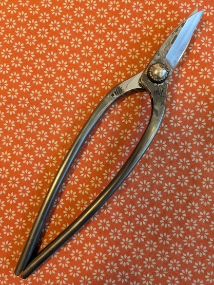 ����΂��i���V�����j