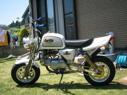 ���ׂ���L