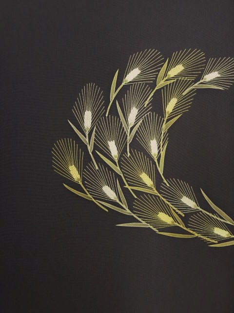 ���؉������X�̉ߋ��̈�_