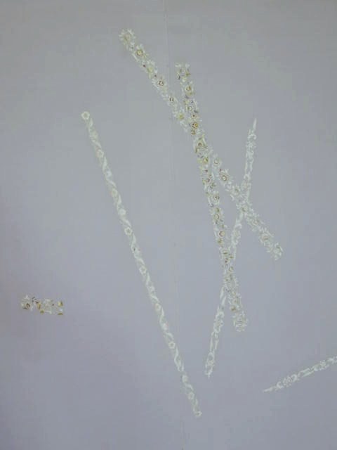 ���؉������X�̉ߋ��̈�_