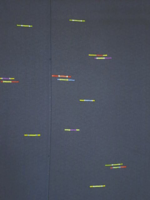 ���؉������X�̉ߋ��̈�_