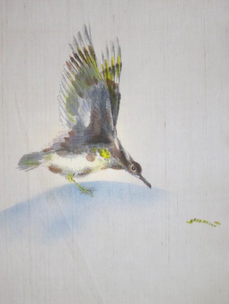 ���؉������X�̉ߋ��̈�_