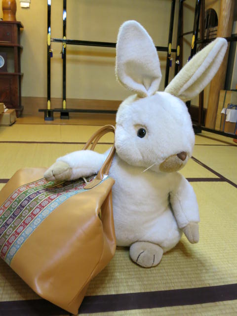 ���؉������X�̉ߋ��̈�_