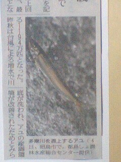 �t�ďH�~������̂Ԃ₫