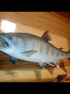 �t�ďH�~������̂Ԃ₫