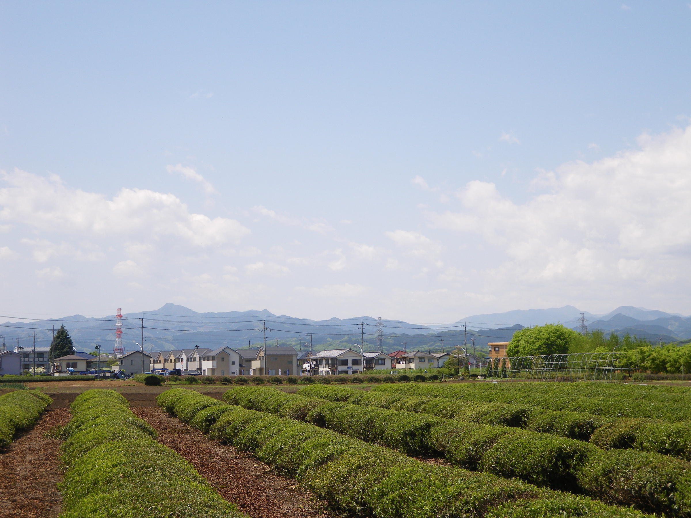 �t�ďH�~������̂Ԃ₫