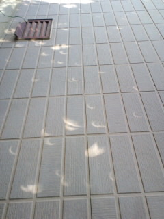 �t�ďH�~������̂Ԃ₫