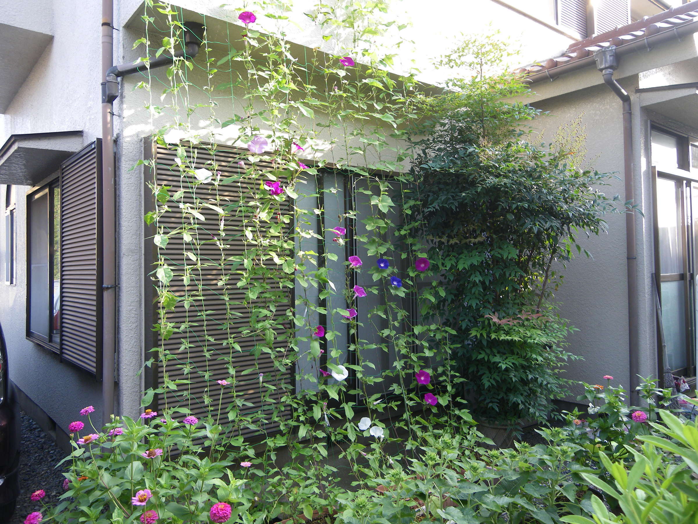 �t�ďH�~������̂Ԃ₫