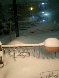 �t�ďH�~������̂Ԃ₫