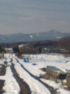 �t�ďH�~������̂Ԃ₫