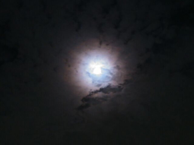 tďH~̂Ԃ₫