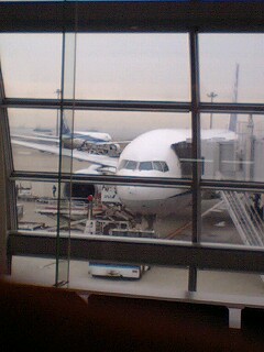 �t�ďH�~������̂Ԃ₫