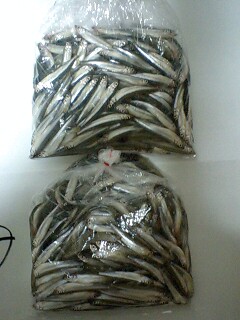 �t�ďH�~������̂Ԃ₫