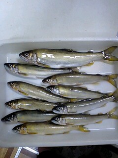 �t�ďH�~������̂Ԃ₫