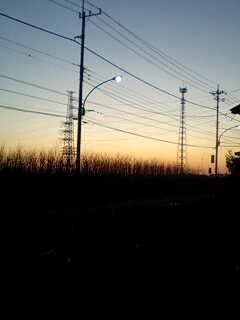 �t�ďH�~������̂Ԃ₫