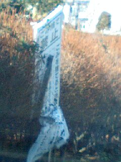 �t�ďH�~������̂Ԃ₫