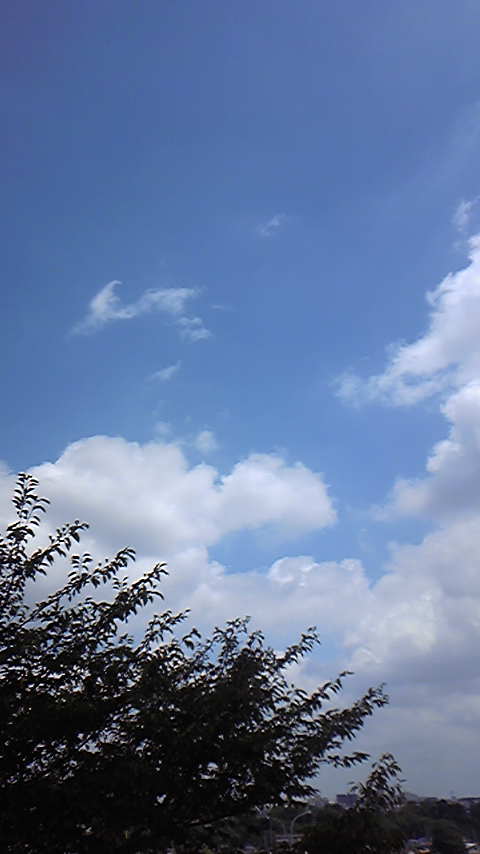 Tattoo Studio YOU              masa��-_-�ڂ₫