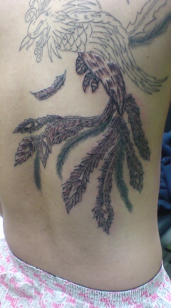 Tattoo Studio YOU              masa��-_-�ڂ₫