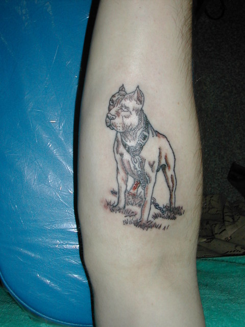 Tattoo Studio YOU              masa��-_-�ڂ₫