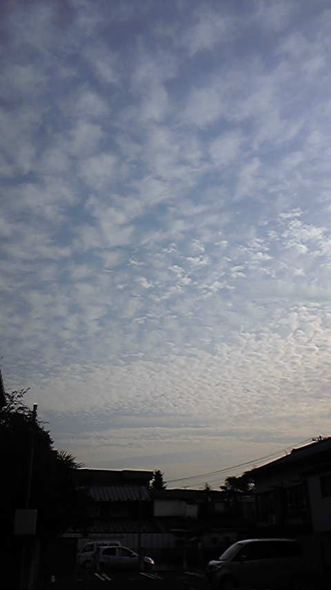 Tattoo Studio YOU              masa��-_-�ڂ₫