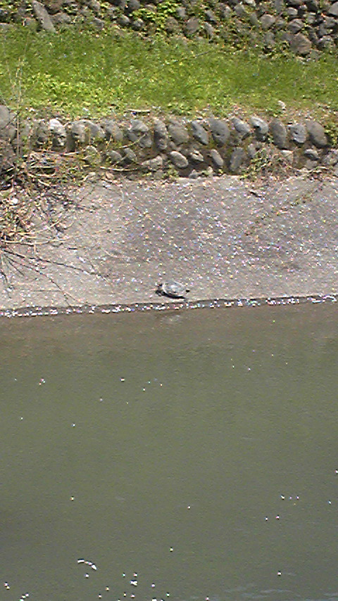 Tattoo Studio YOU              masa��-_-�ڂ₫