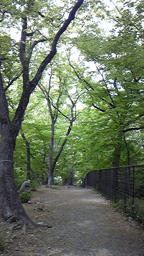 Tattoo Studio YOU              masa��-_-�ڂ₫