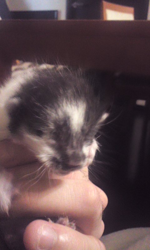 Tattoo Studio YOU              masa��-_-�ڂ₫